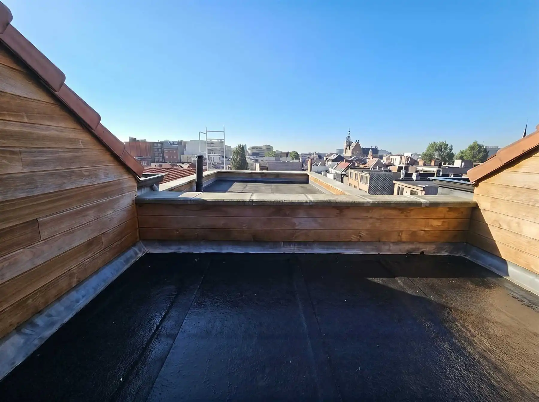 Prachtig gerenoveerd penthouse met 2 slaapkamers en terras nabij Zurenborg foto 8