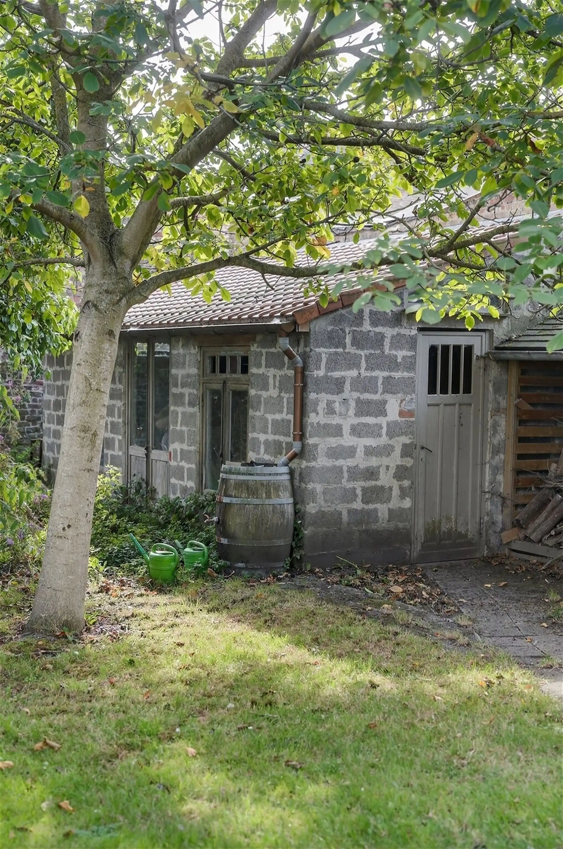 EXCLUSIEF / GROENE OASE  foto 50