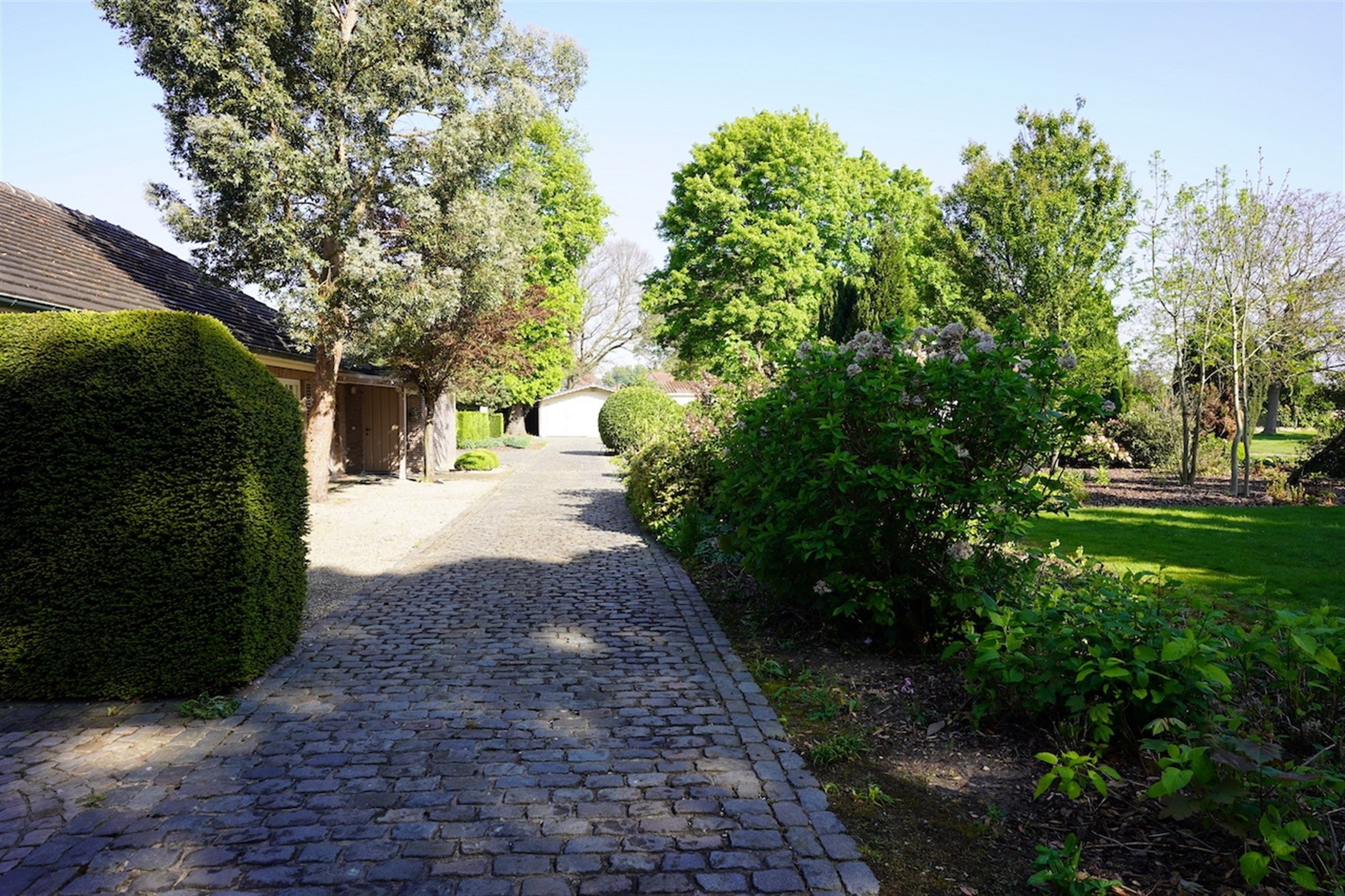 Opportuniteit! Eigendom op 1 Ha met buitengewone privileges foto 10