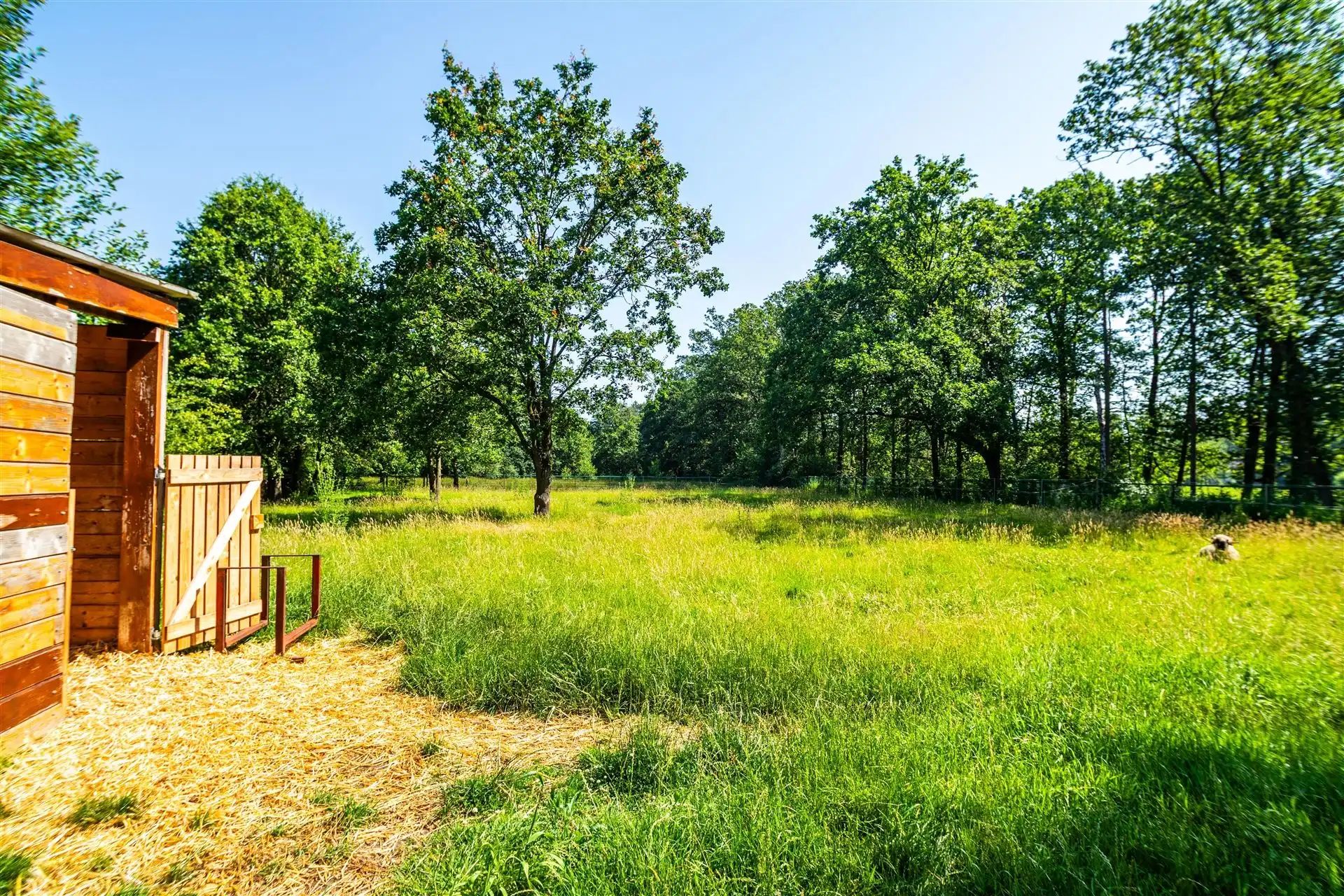 Ruime villa met zwembad en panoramische vergezichten foto 11
