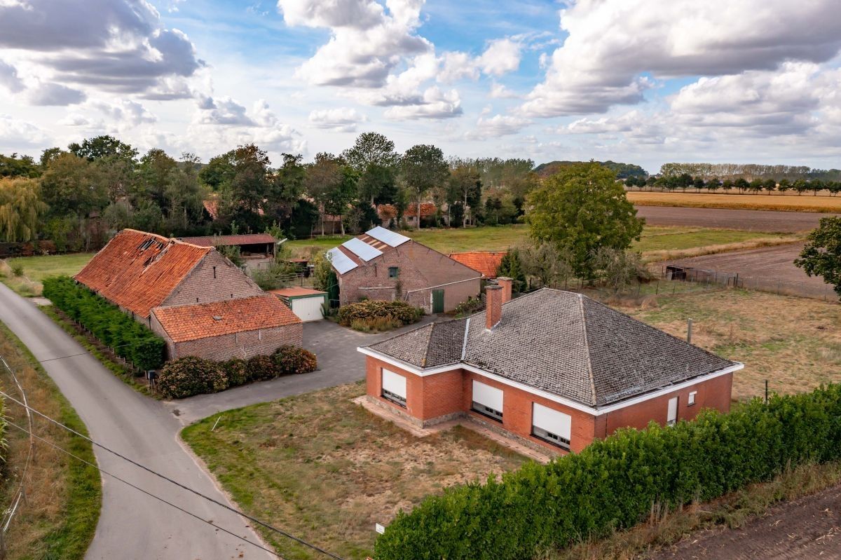 Hoofdfoto van de publicatie: Hoeve op circa 10 ha te koop te Maldegem