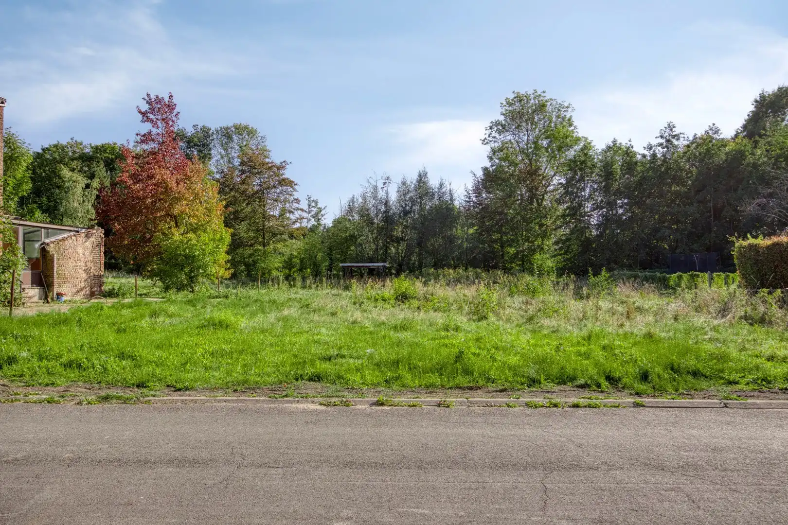 Bouwgrond in Boutersem met perceeloppervlakte van 10a92ca – Perceelbreedte: 17 m te koop foto 3