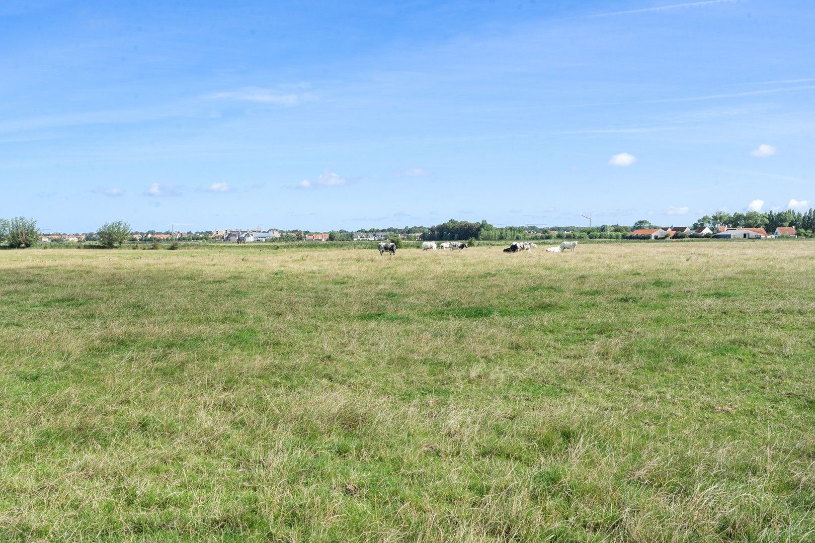 Hedendaagse villa gelegen op een terrein van 2.648m² genietend van open zicht over de Polders. foto 9