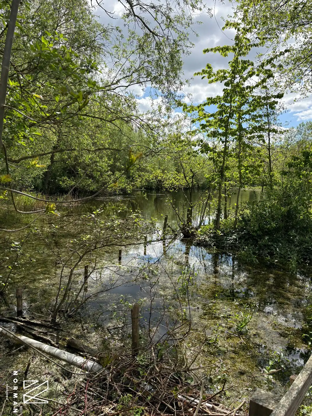 Energiezuinig 2-slaapkamer appartement inclusief staanplaats te koop in Kuurne naast de Groene Long foto 5