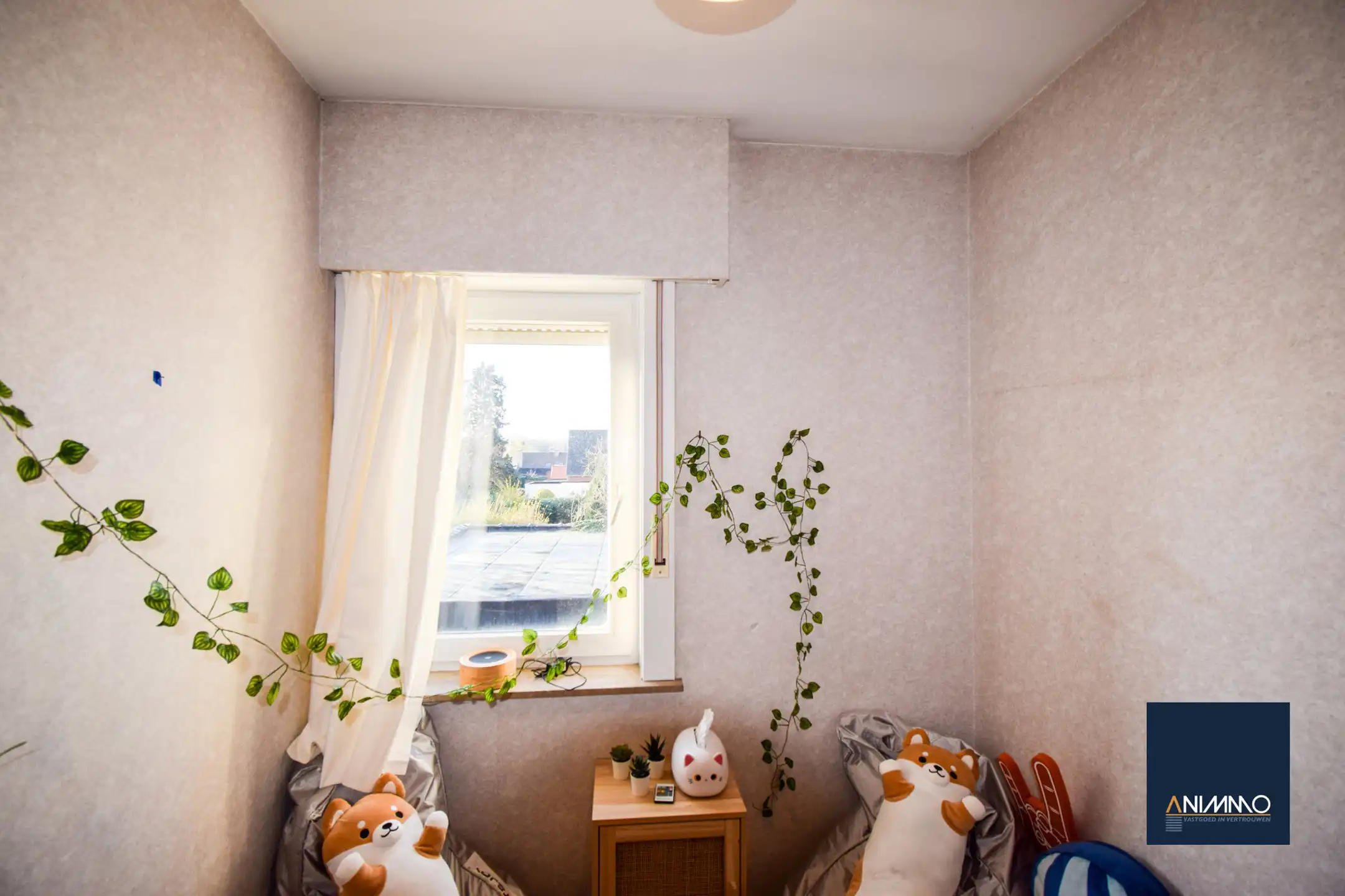 Huis te koop foto 13