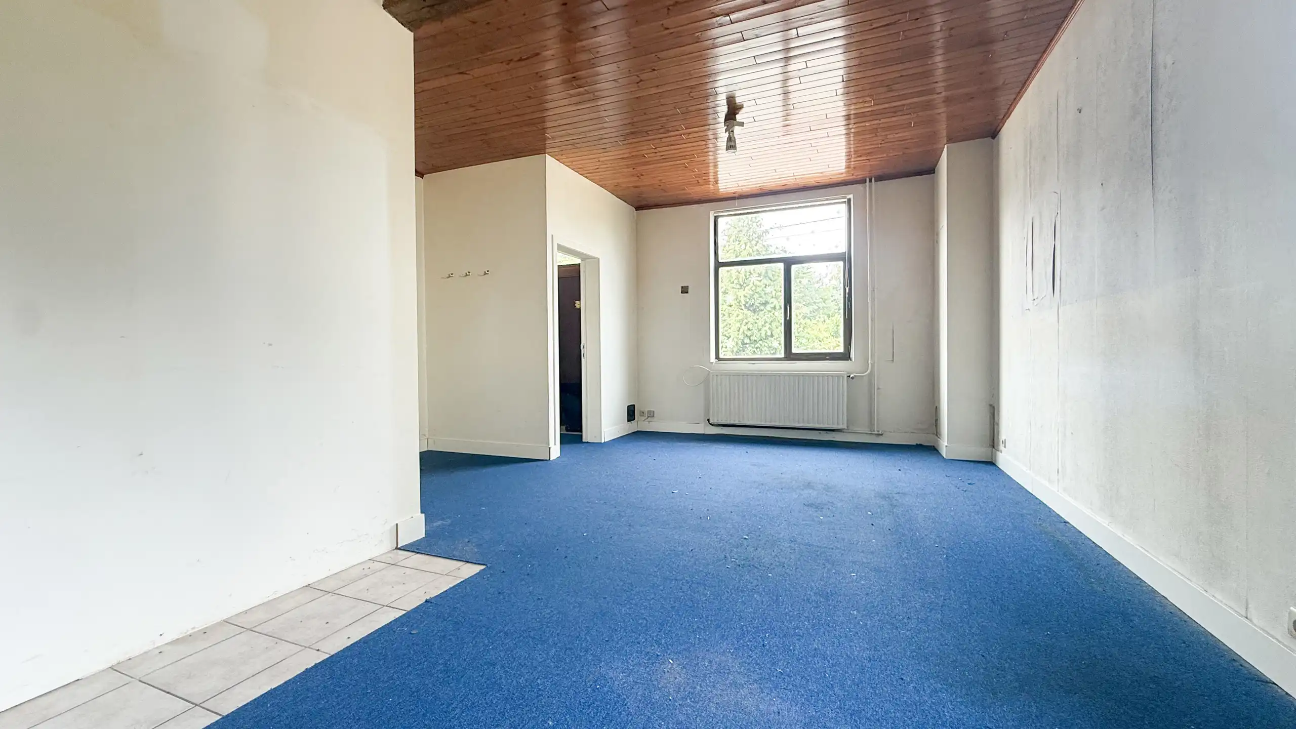 Renovatiepand met ruime living en mooi perceel van 6+ are! foto 4