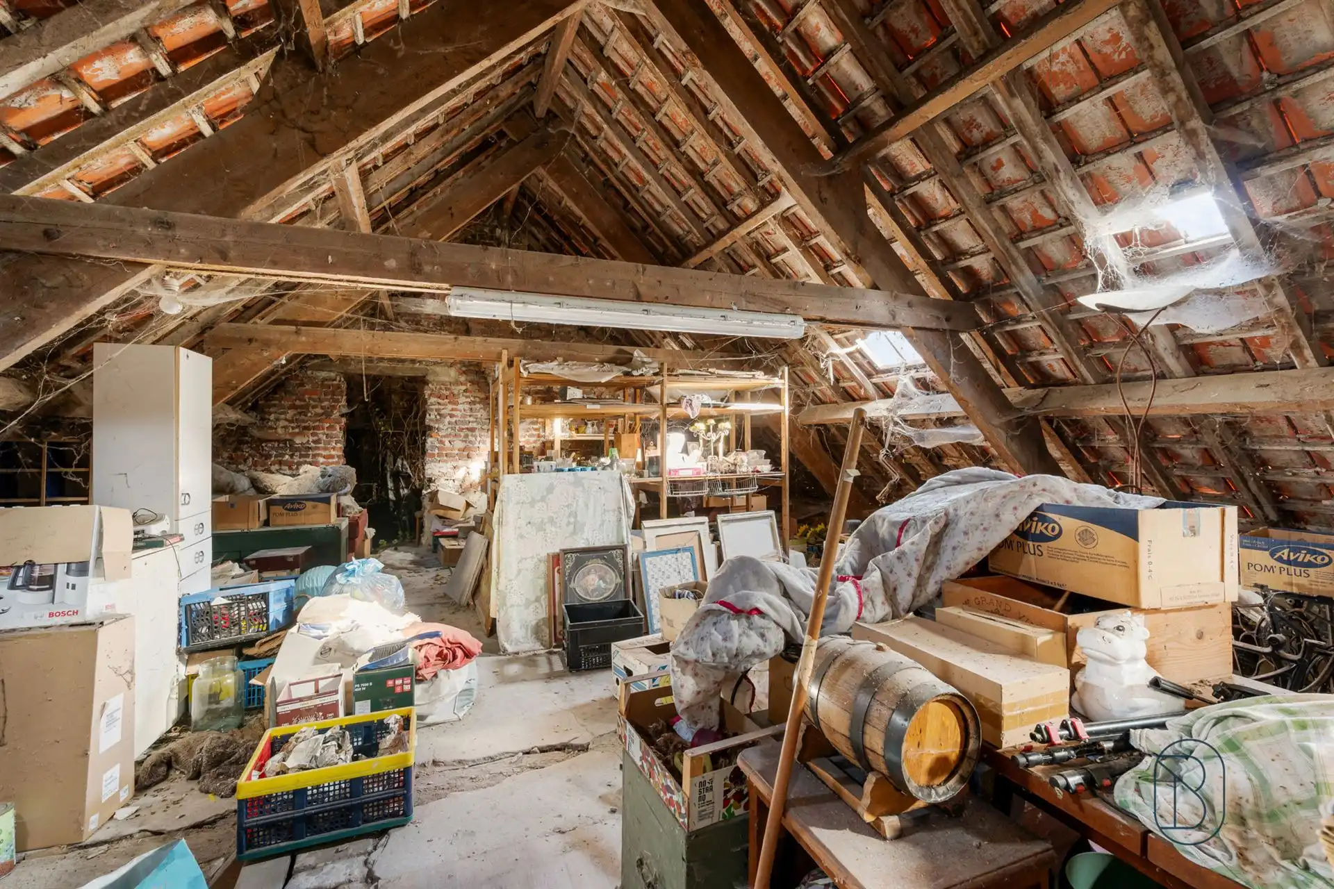 Hoeve met handelsruimte en woning, ideaal gelegen! foto 20