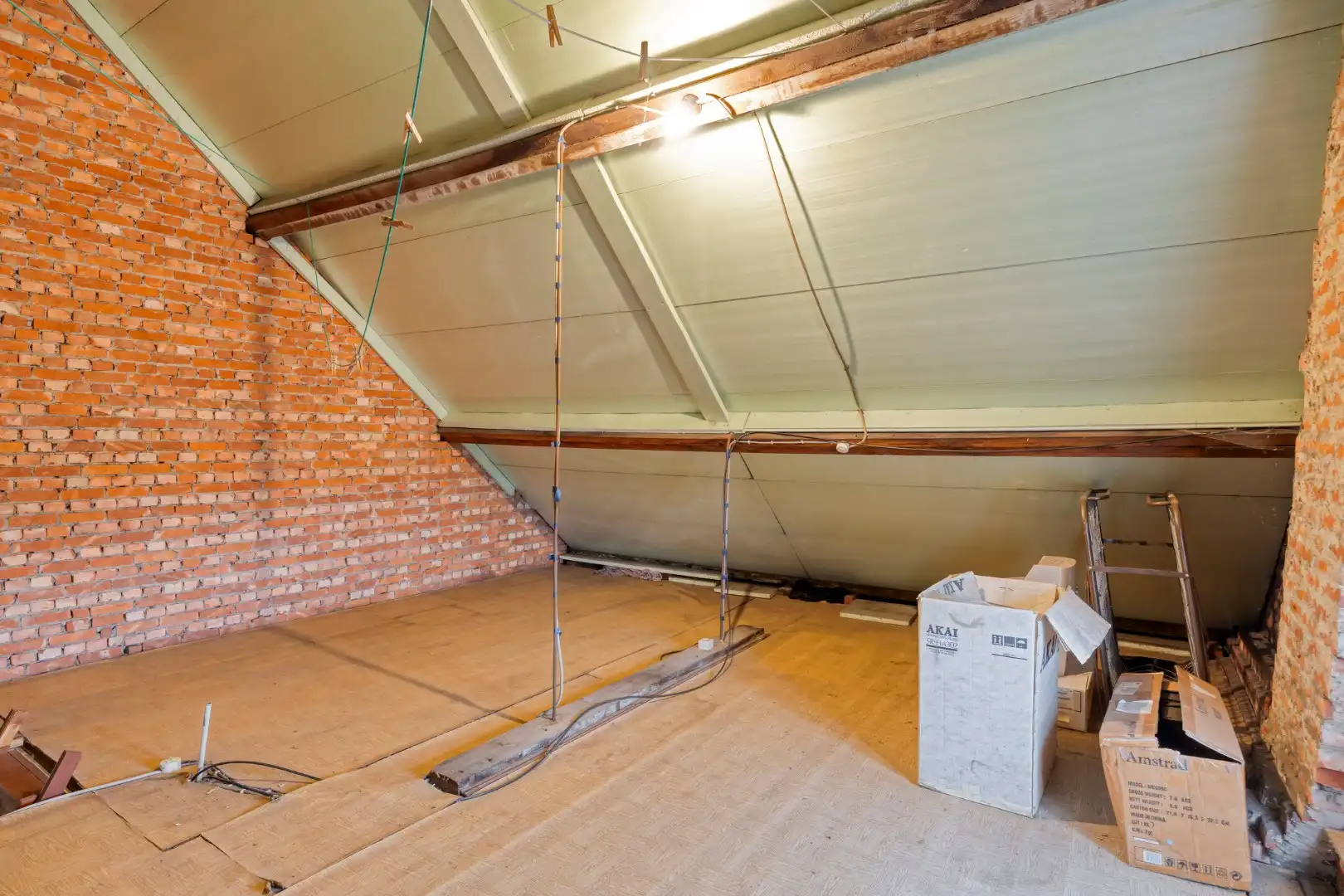 Rustig gelegen te renoveren woning op een mooi perceel van 13 are. foto 19