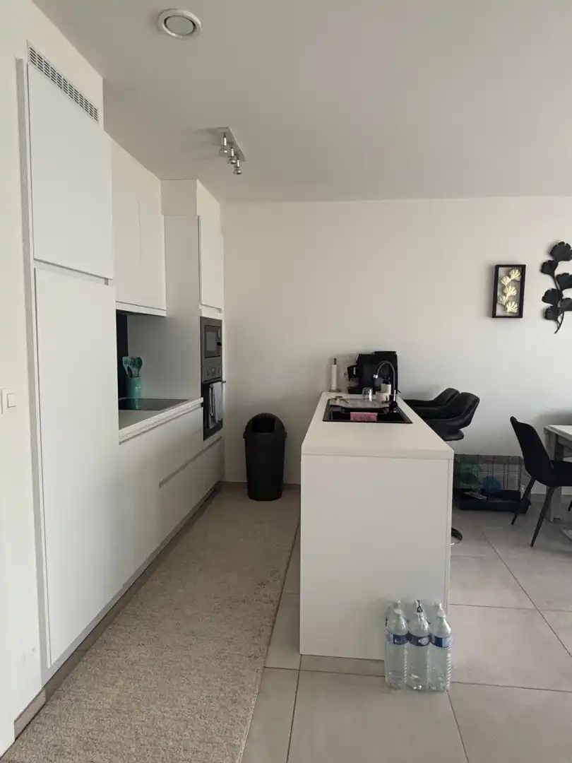 LICHTRIJK EN ENERGIEZUINIG 2-SLAAPKAMERAPPARTEMENT MET TWEE TERRASSEN EN PARKEERPLAATS foto 3
