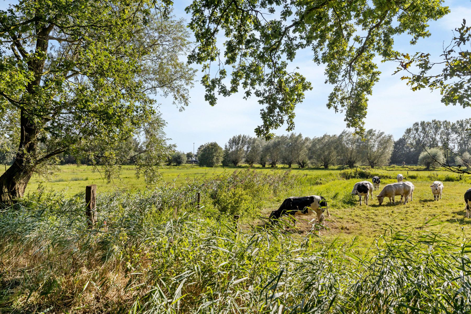 Uniek recreatieperceel van 3.740m² met extra's foto 7