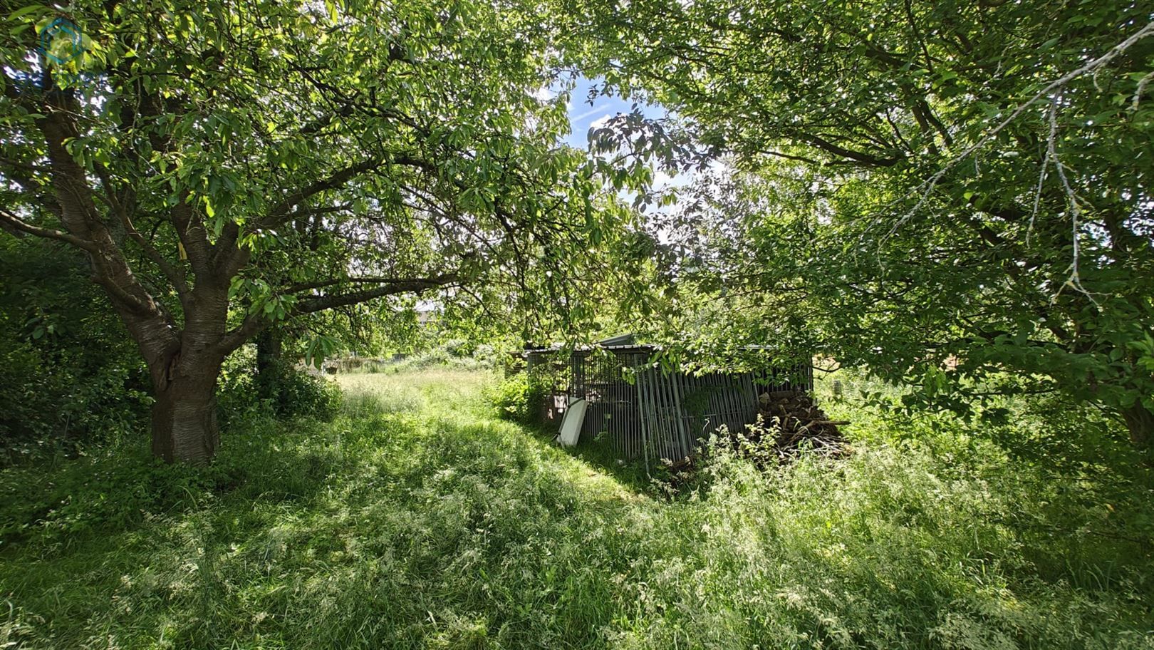 Natuurhuis in Lembeek (Halle) foto 2