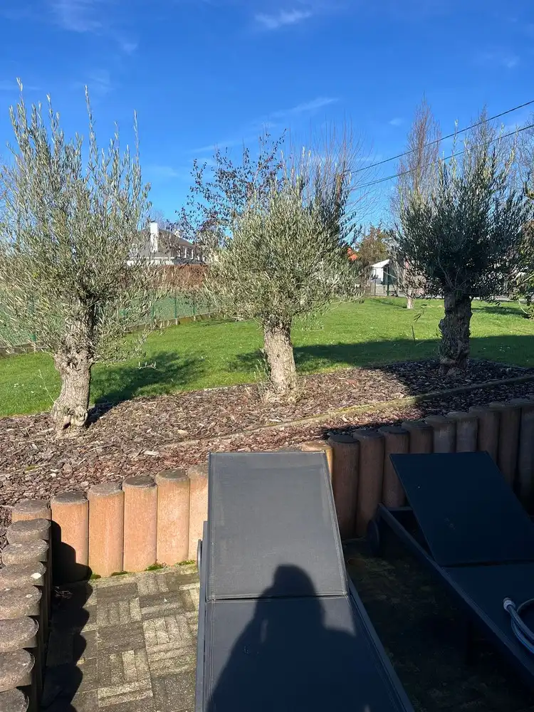 Mooie, energiezuinige gezinswoning foto 26