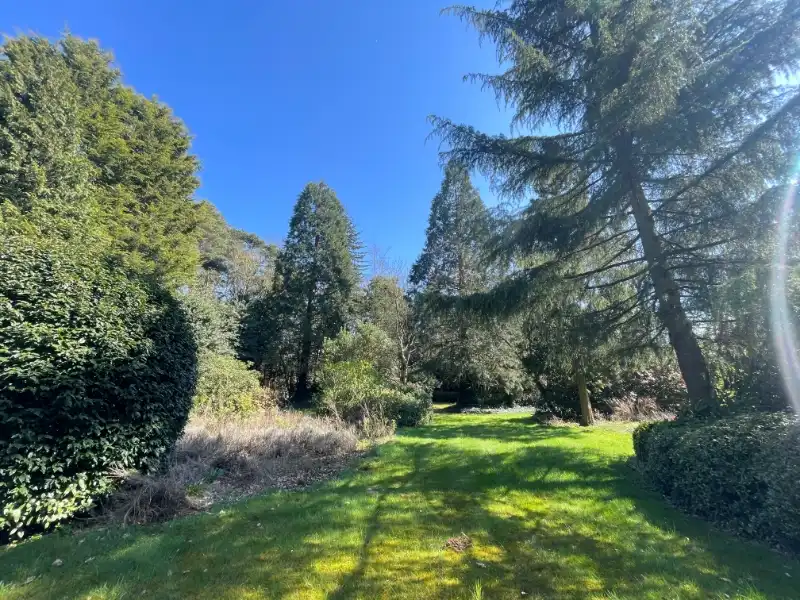 Villabouwgrond te koop – 1.967 m² – Hoge Kaart (links nr. 10) foto 7