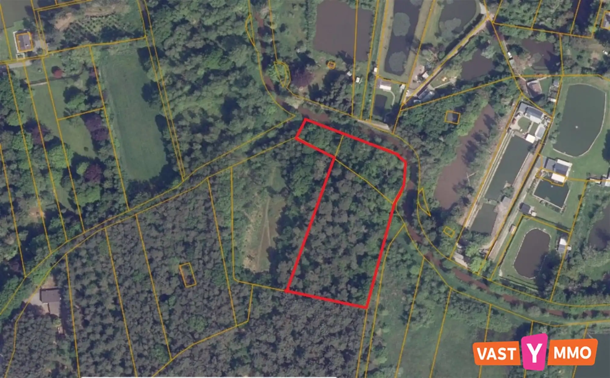 Bosgrond foto {{pictureIndex}}