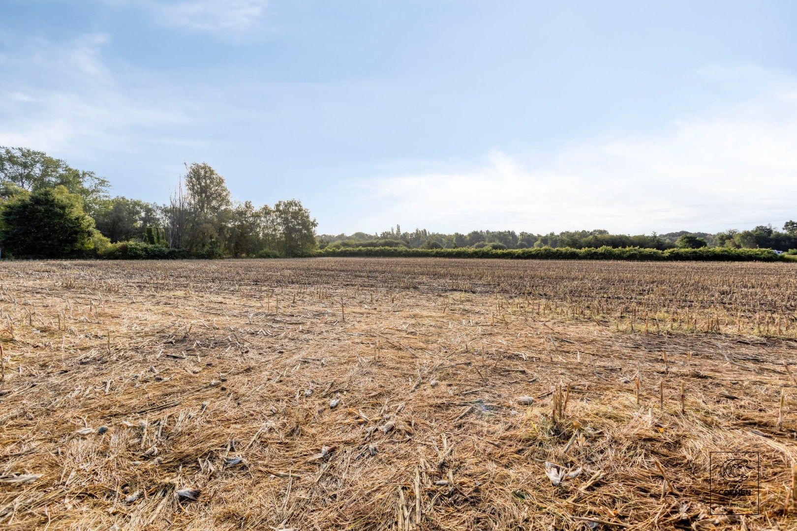 Uitzonderlijke bouwgrond met een totale oppervlakte van 5.684 m² te Emblem! foto 9