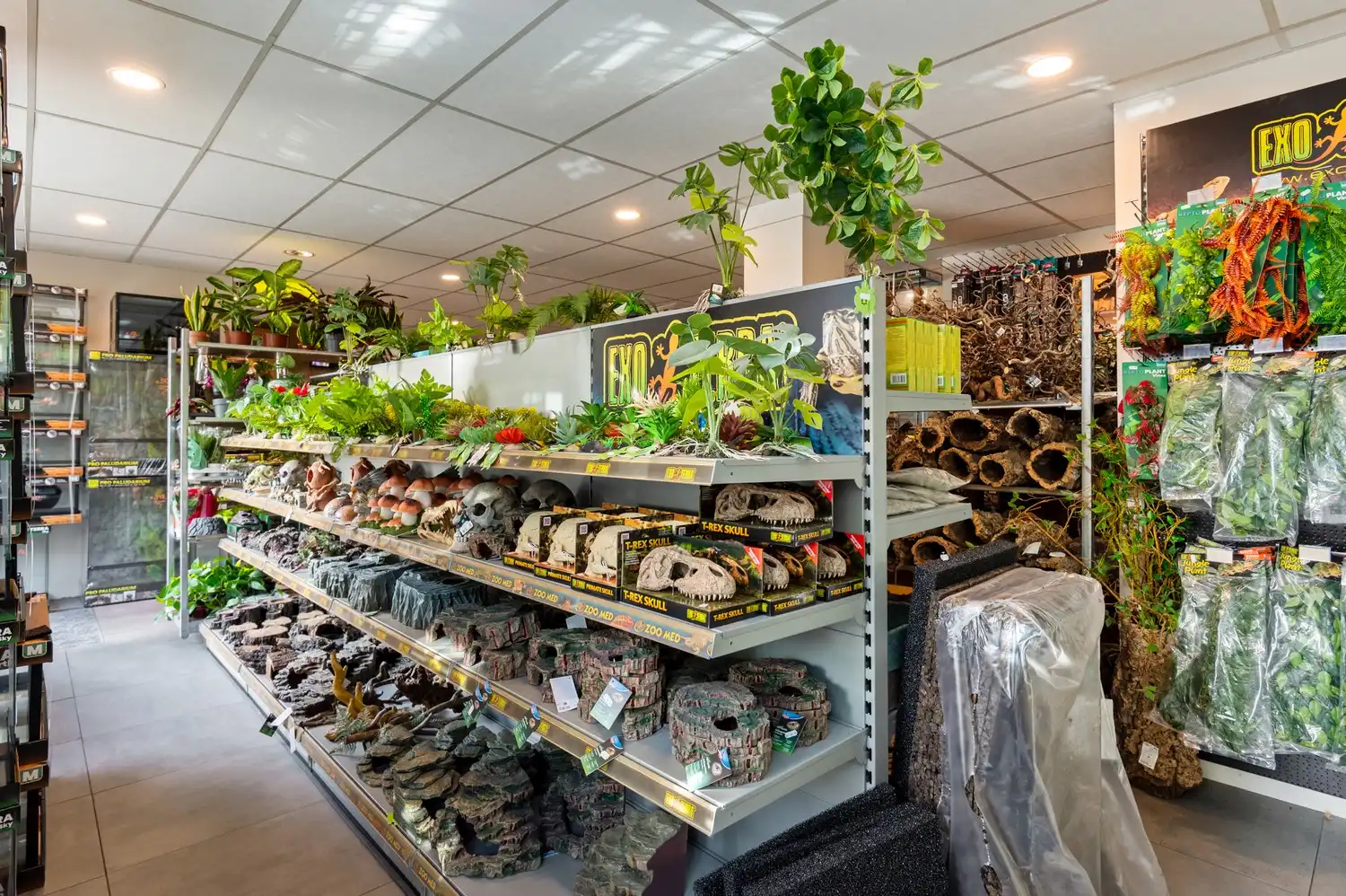 Ruim handelsgelijkvloers (208 m²) met brede etalage en buitenruimte (72 m²) in Kontich foto 9