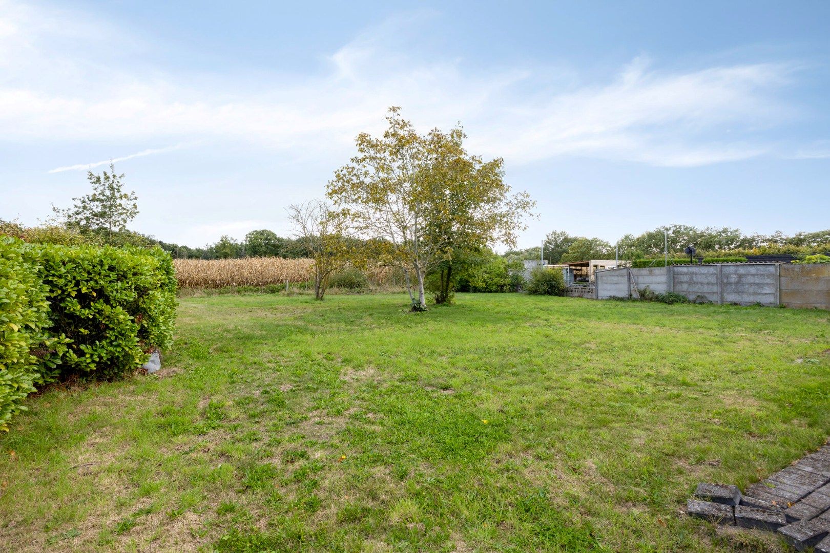 Halfopen bebouwing met ruime tuin en garage in Mol-Rauw ! foto 2