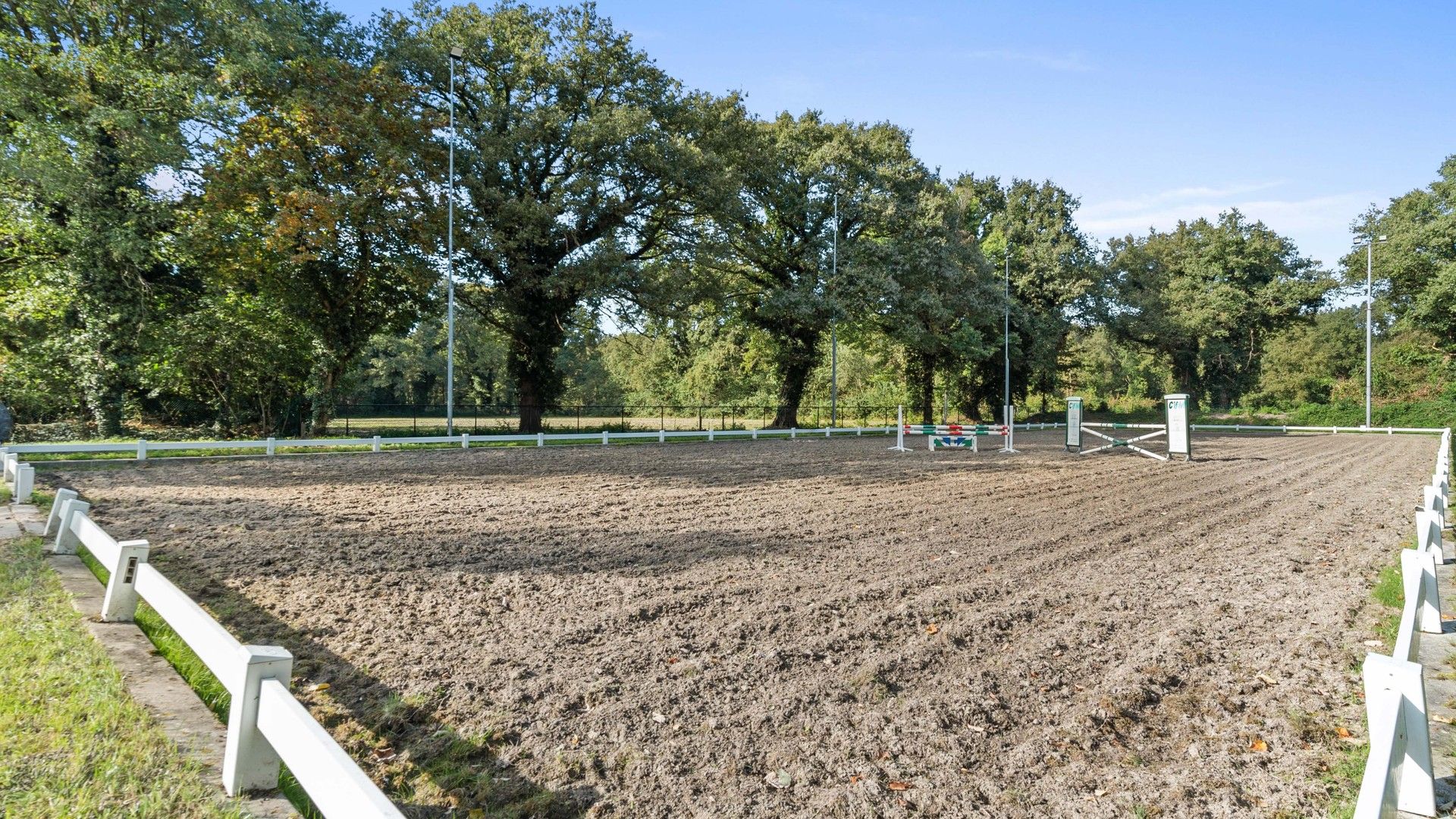 Exclusief hippisch eigendom met binnen- en buitenpiste, paardenstallen foto 16