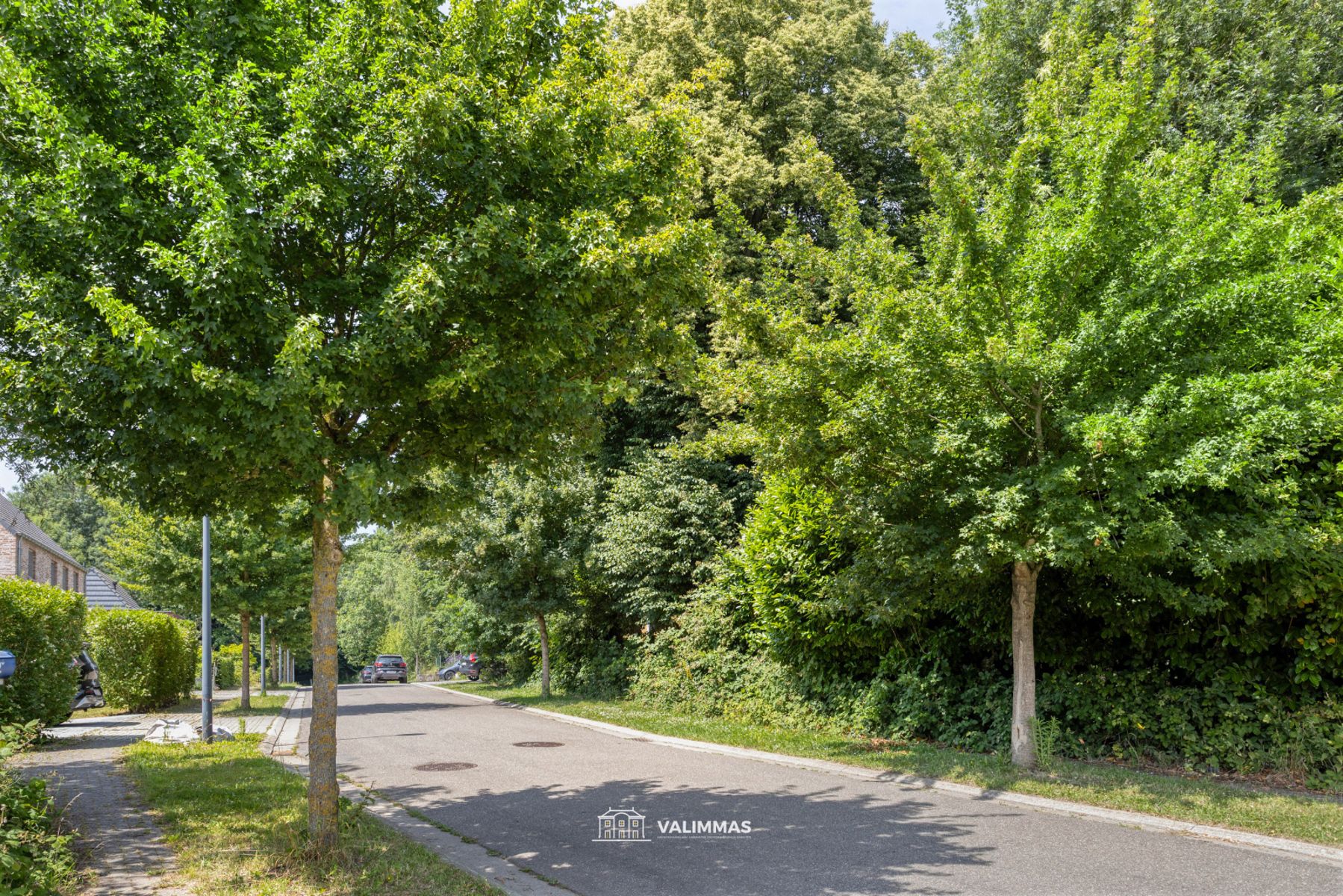 Uniek gelegen doktersvilla met grote tuin (= 2 bouwgronden!) foto 9