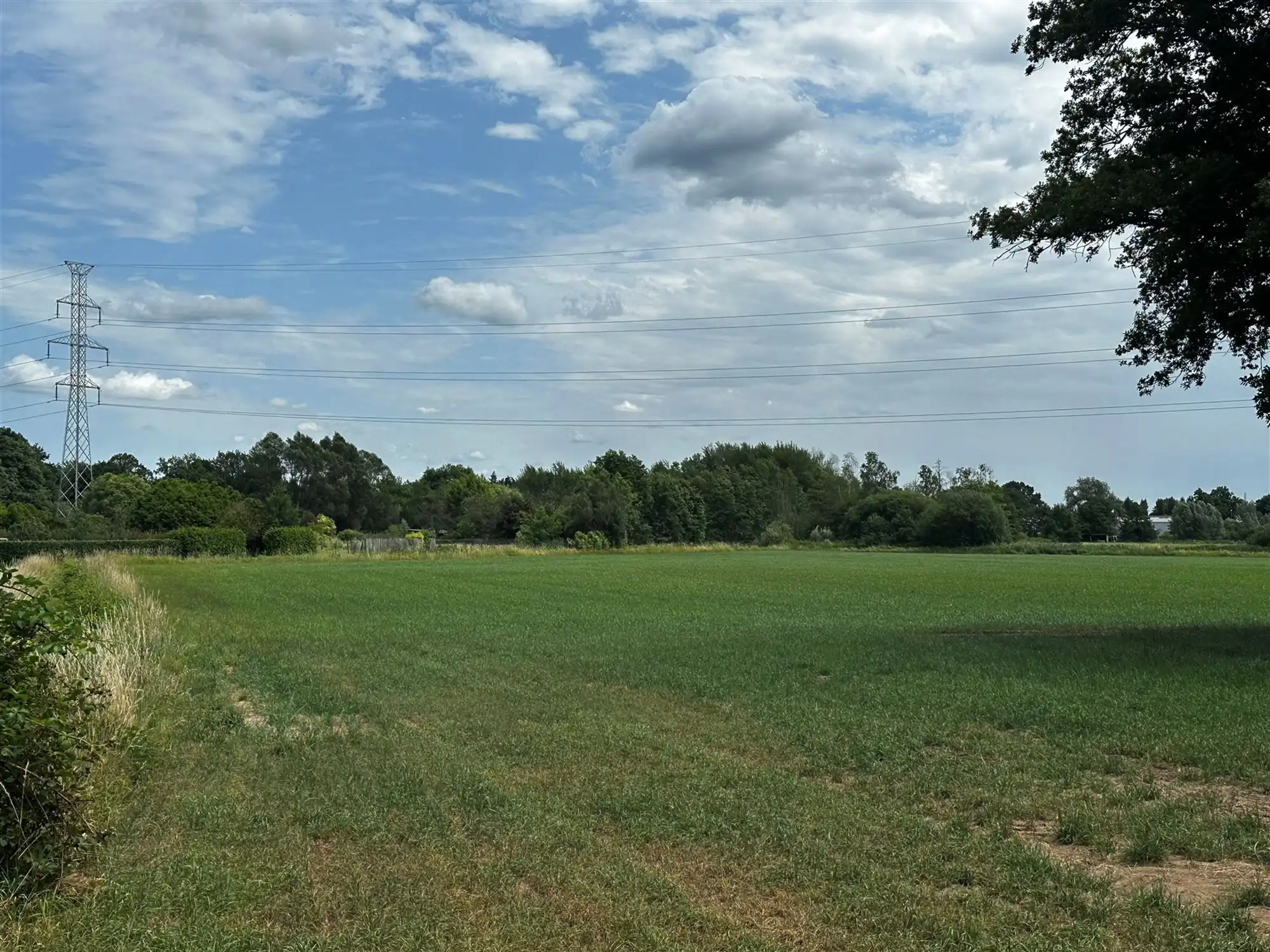 PERCEEL WEILAND VAN 7800M² GELEGEN AAN DE GORENSTRAAT TE PAAL foto 2