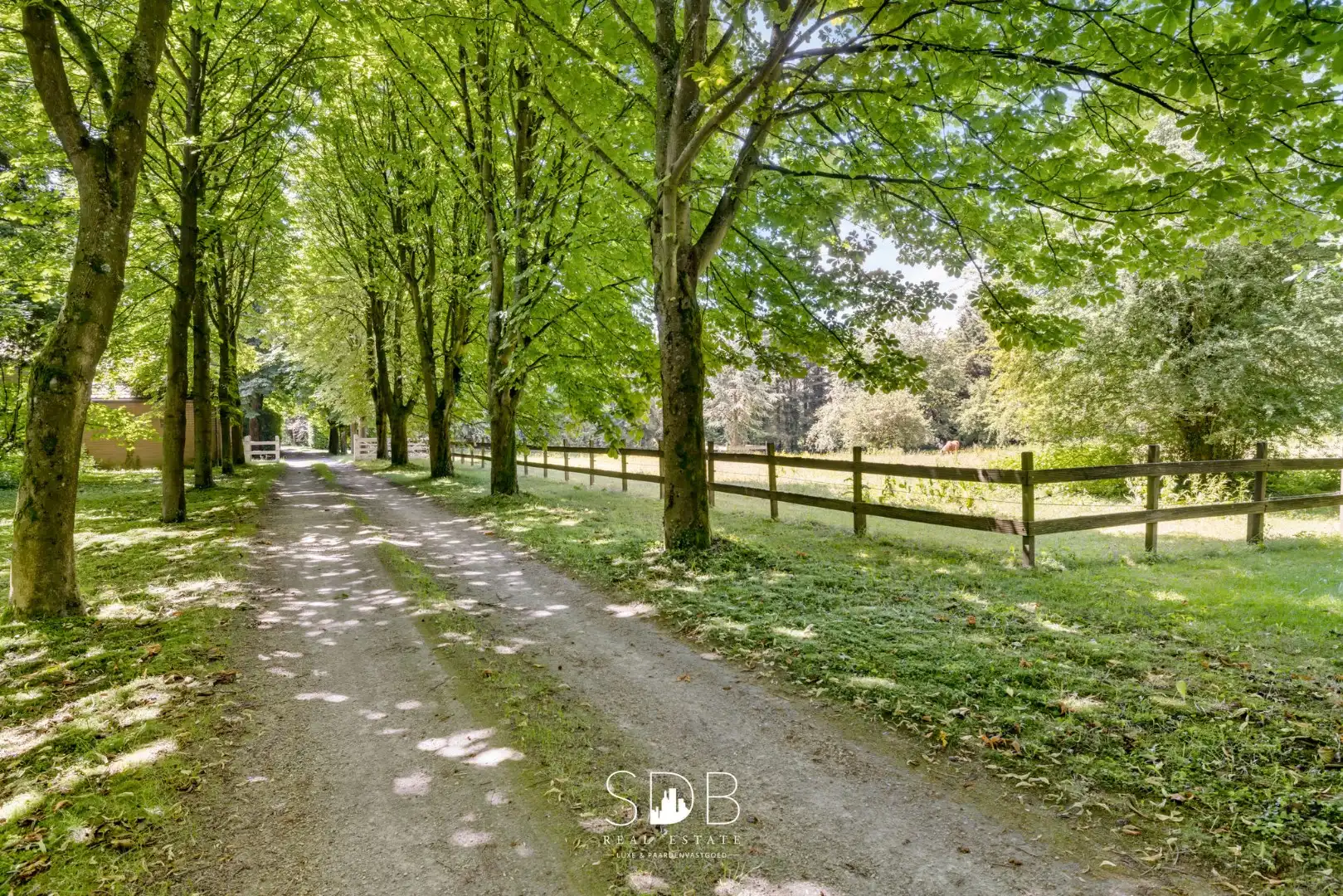 Prachtig kasteel met omringend park, weilanden en stalgebouw op circa 5hectare foto 27
