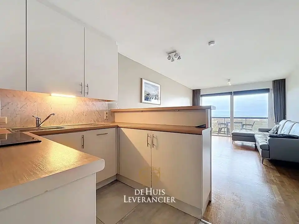 Zonnig en instapklaar appartement op topligging met zeezicht in Koksijde foto 2