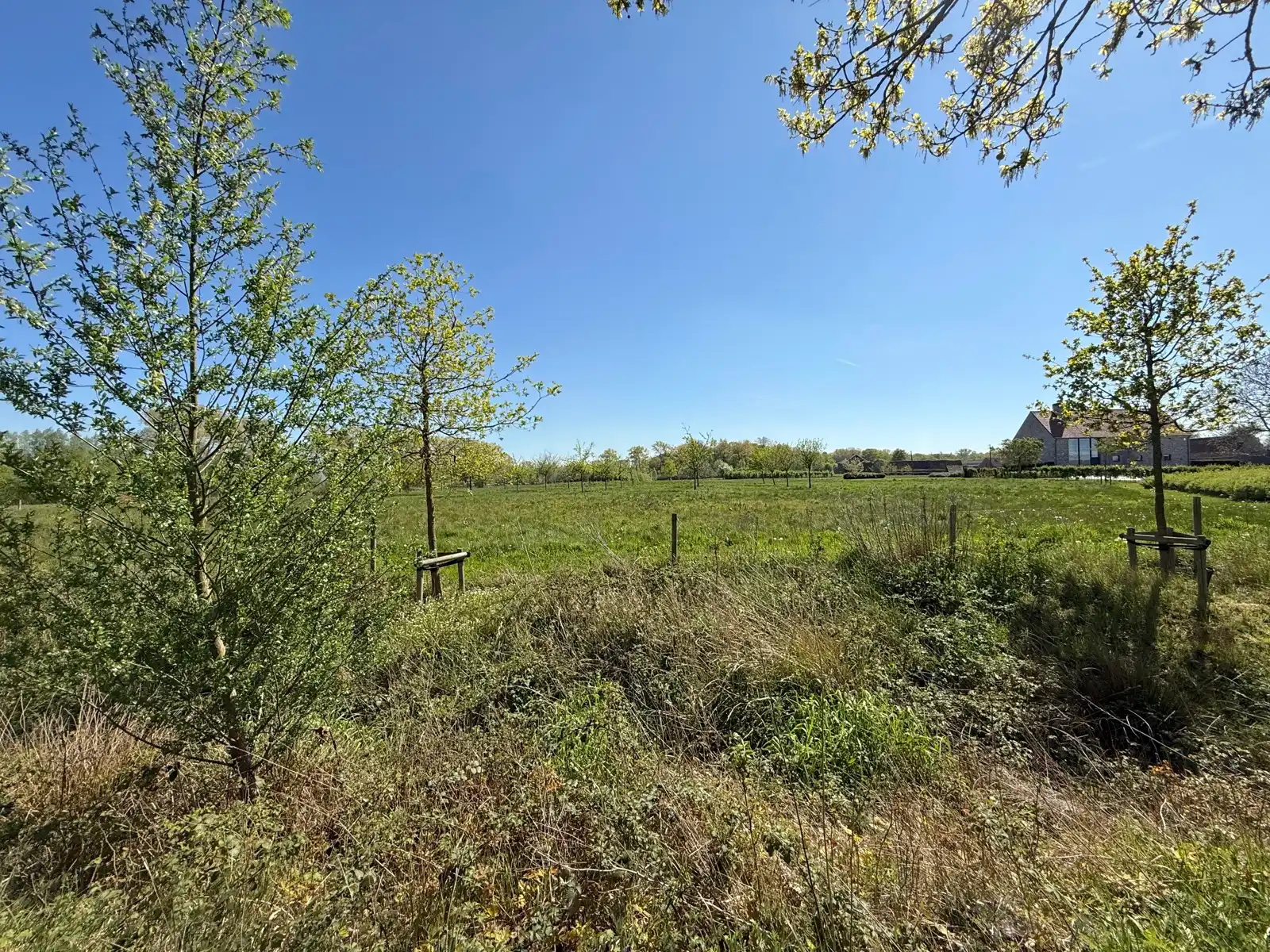 Landelijk gelegen woning met 4/5 slpks, zwembad en tuin foto 26