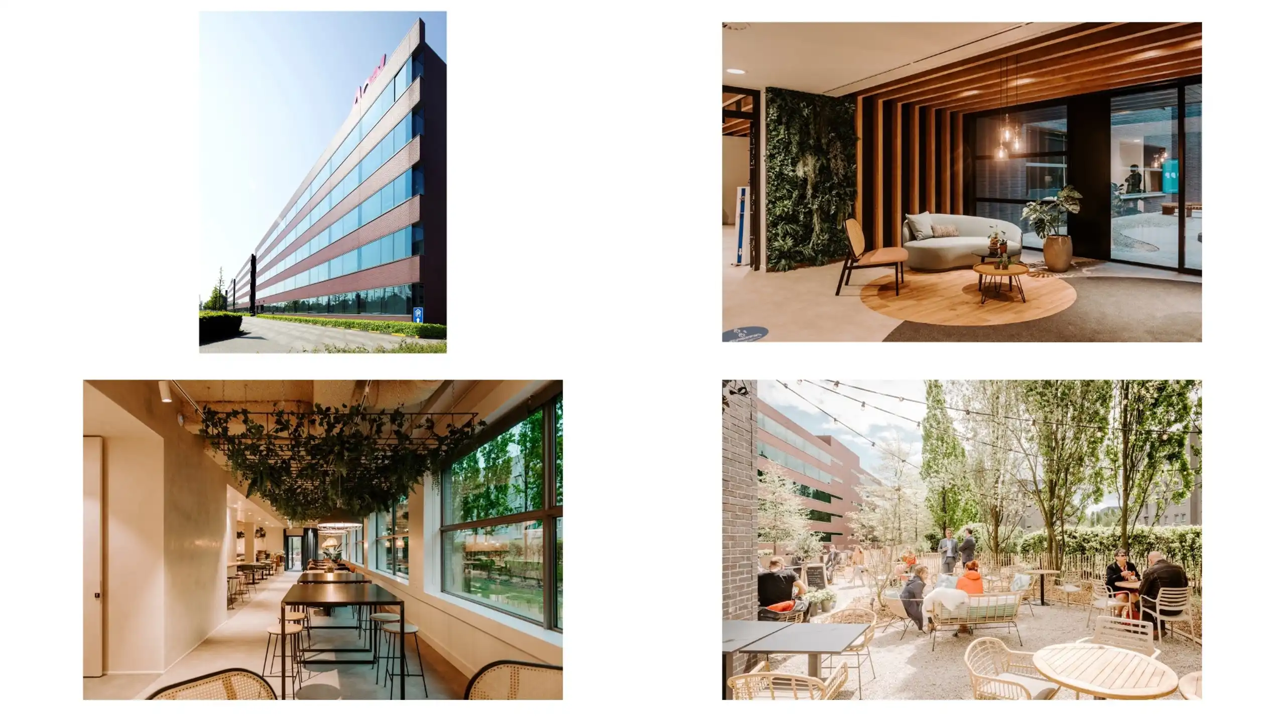 Kantoor te huur 535 m² op de gelijkvloerse verdieping foto 6