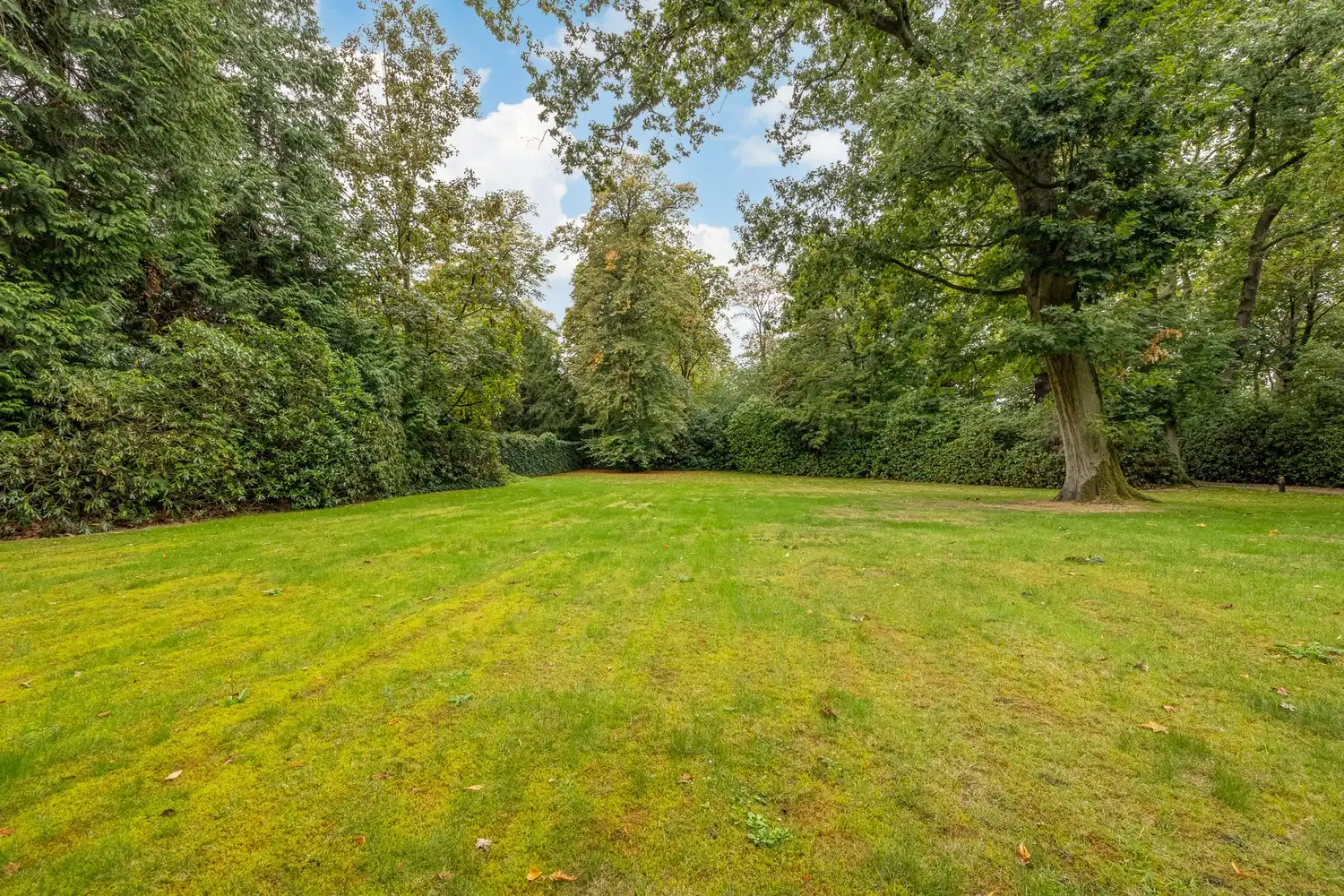 Karaktervolle te renoveren rietgedekte villa op een uitzonderlijk parkdomein van 9127 m² in Vriesdonk foto 32