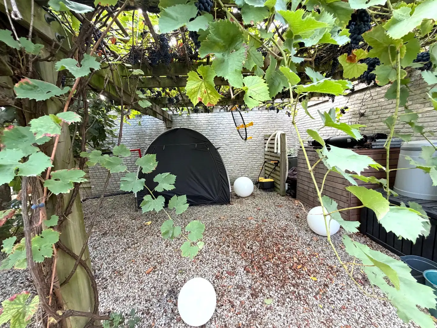 Instapklare woning met tuin te Stasegem te huur. foto 18