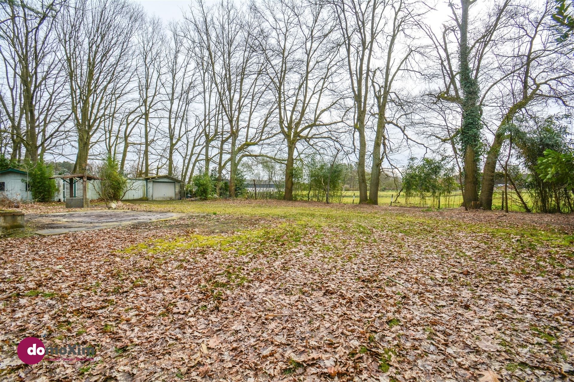 Te renoveren vakantiewoning in groene omgeving te Haacht foto 2