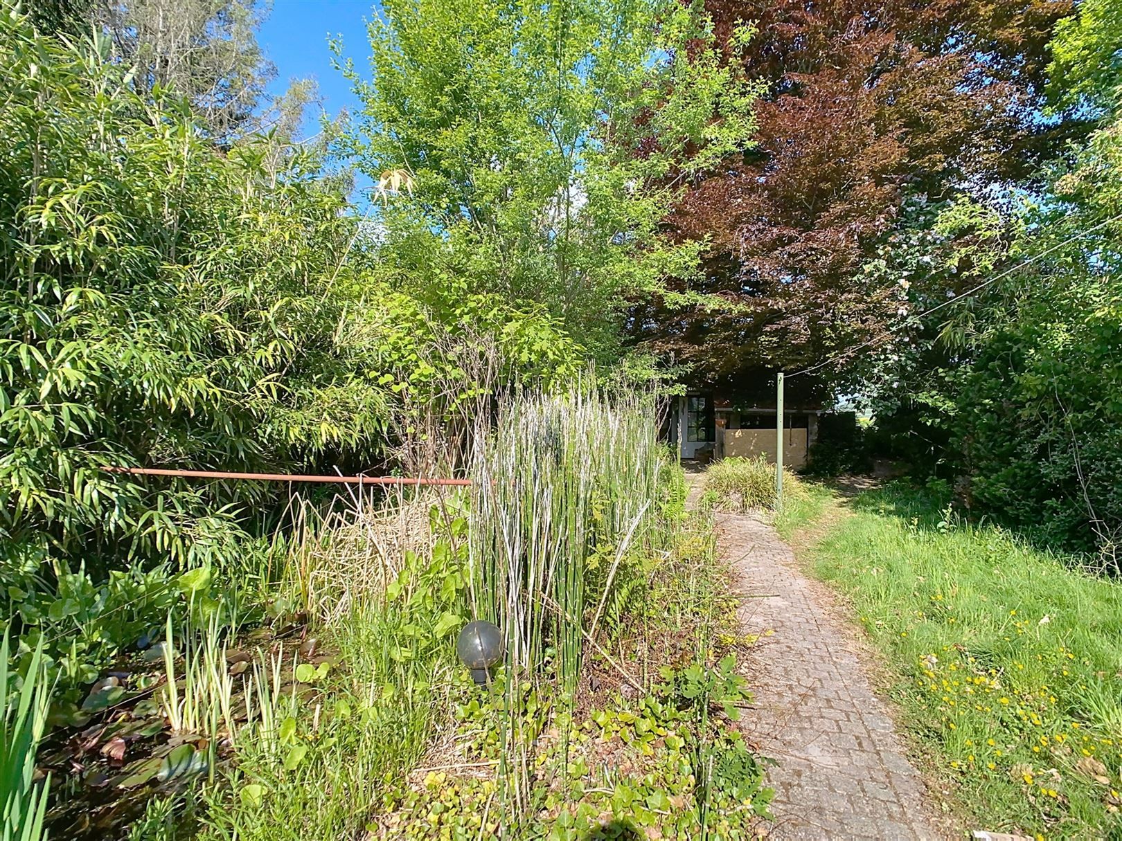 Charmante woning, 3 slpks, garage, weides, 1h 23a 72ca foto 35