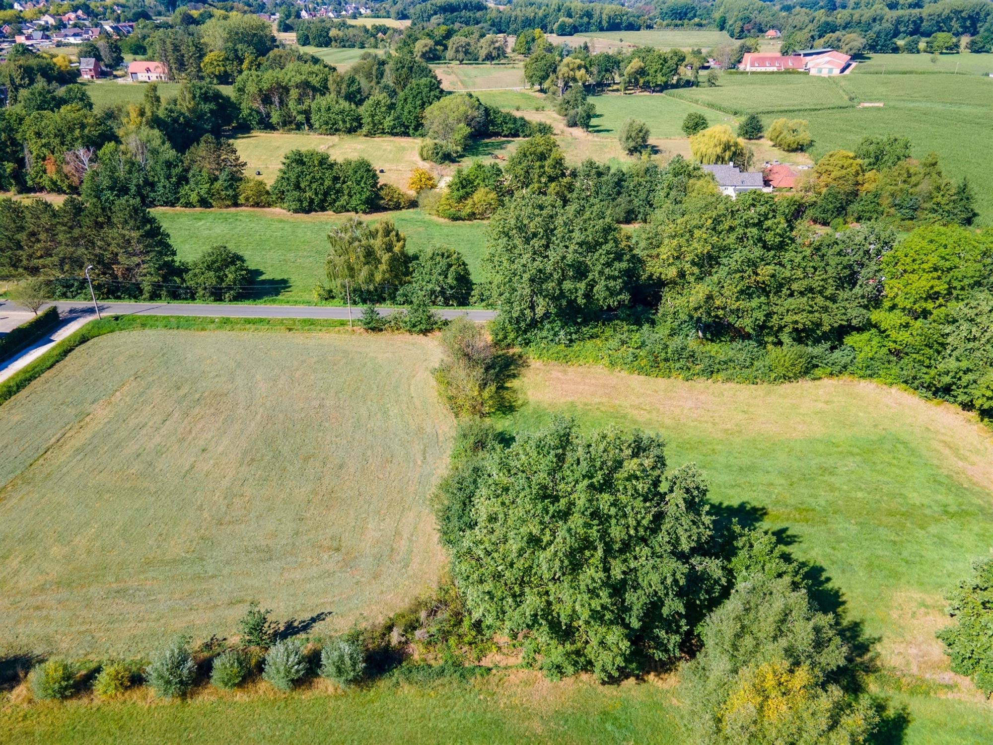 Perceel landbouwgrond te Beerzel - opp. 2547 m² foto 2