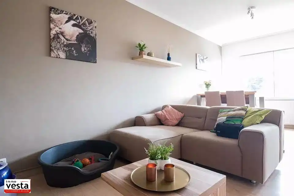 Eénslaapkamerappartement in centrum Sint-Truiden foto 8