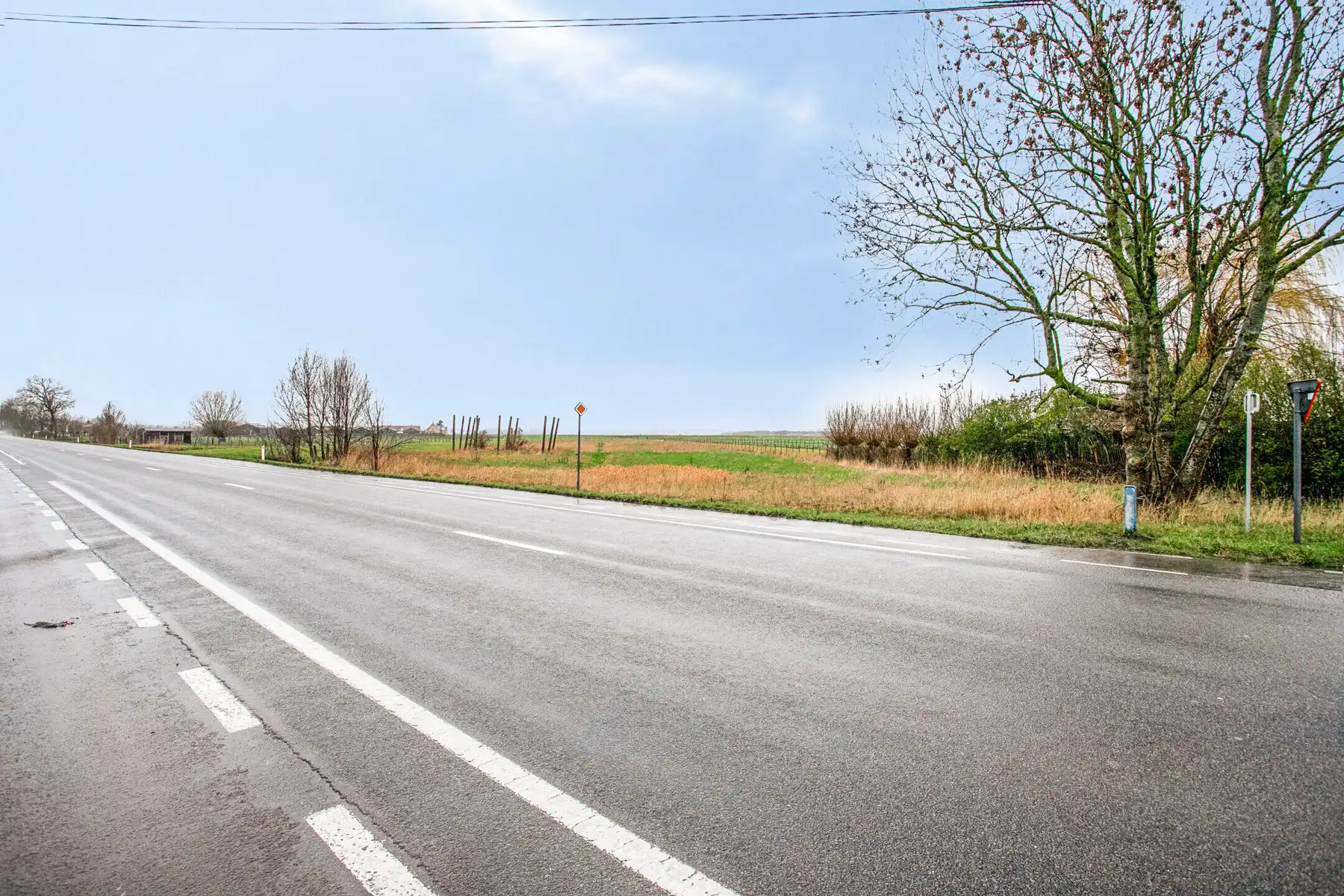 Landbouwgrond (weiland) foto 2