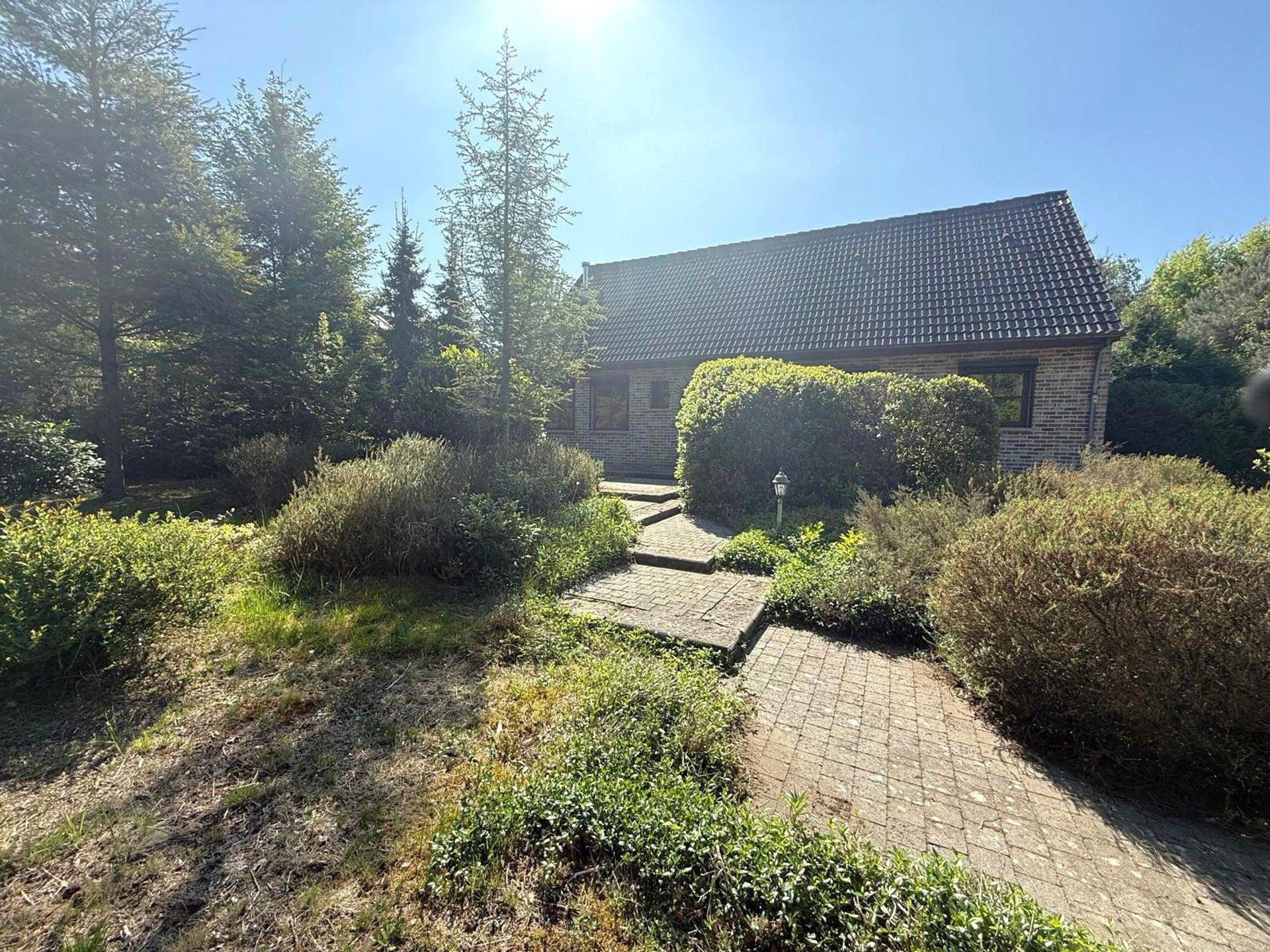 Ruime woning met veel grond foto 3