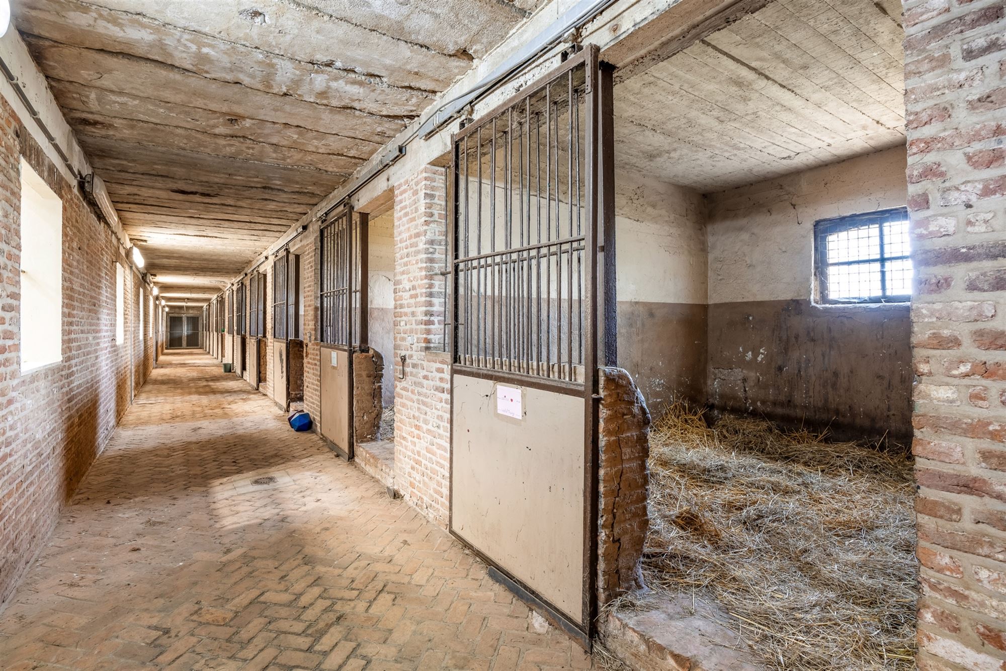 UNIEKE EIGENDOM MET 24 PAARDENSTALLEN EN BINNENPISTE OP CA 10 HECTARE TE PAAL-BERINGEN foto 7