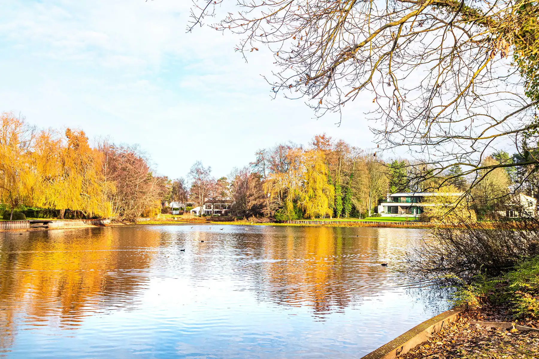 Exclusieve bouwgrond van 4.370 m² in “Golf & Meer”-domein foto 4