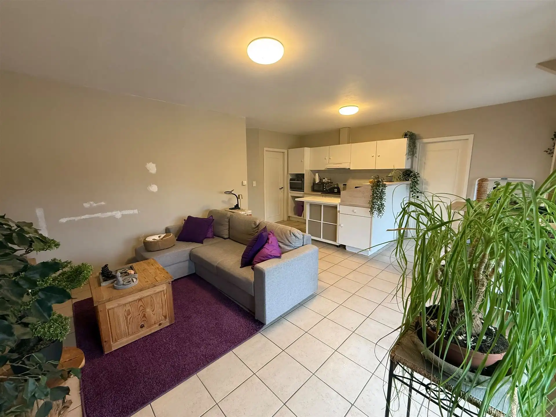 Appartement met 2 Slpks en tuin.  foto 2