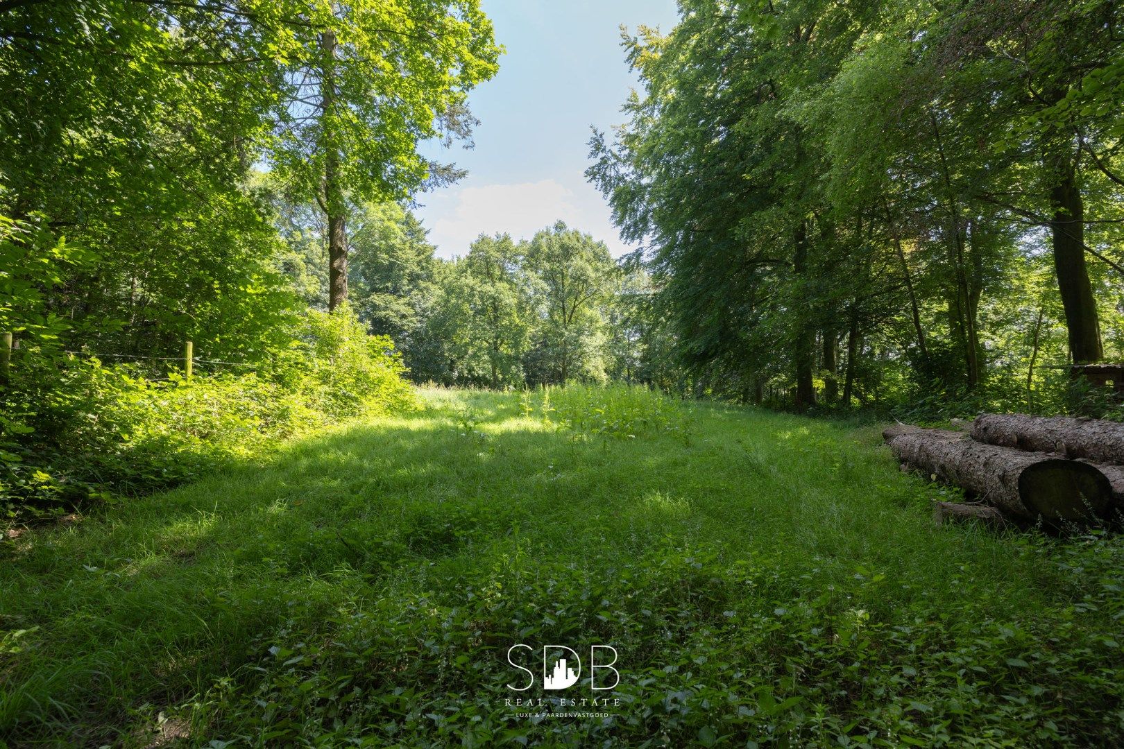 Prachtig kasteel met omringend park, weilanden en stalgebouw op circa 5hectare foto 35
