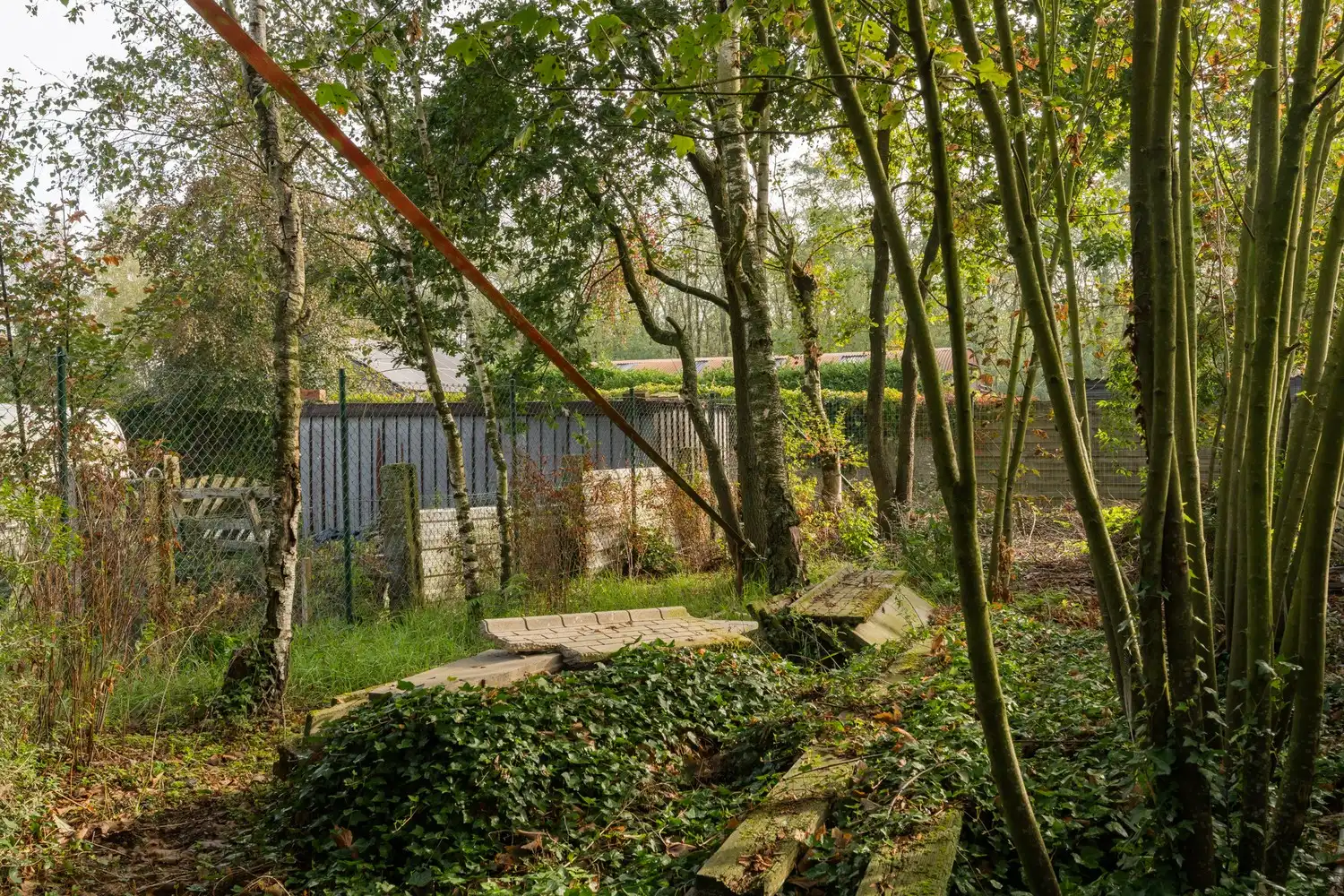 Veelzijdige woning met zorgmogelijkheden, werkruimte en tal van bijgebouwen foto 47