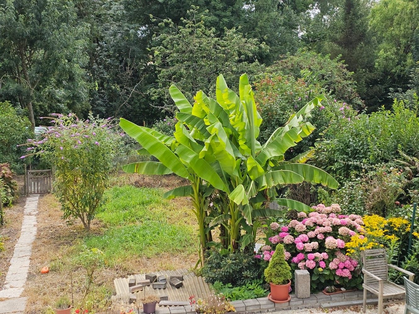 Ruime, solide woning met grote kelder, terras en tuin foto 7