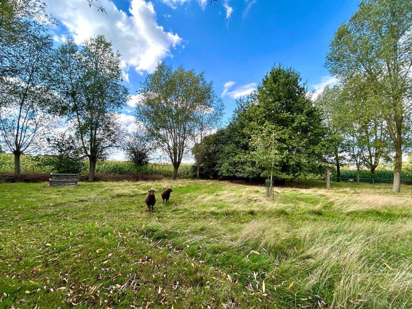 Unieke gezinswoning met tuin en agrarisch perceel te Winksele foto {{pictureIndex}}