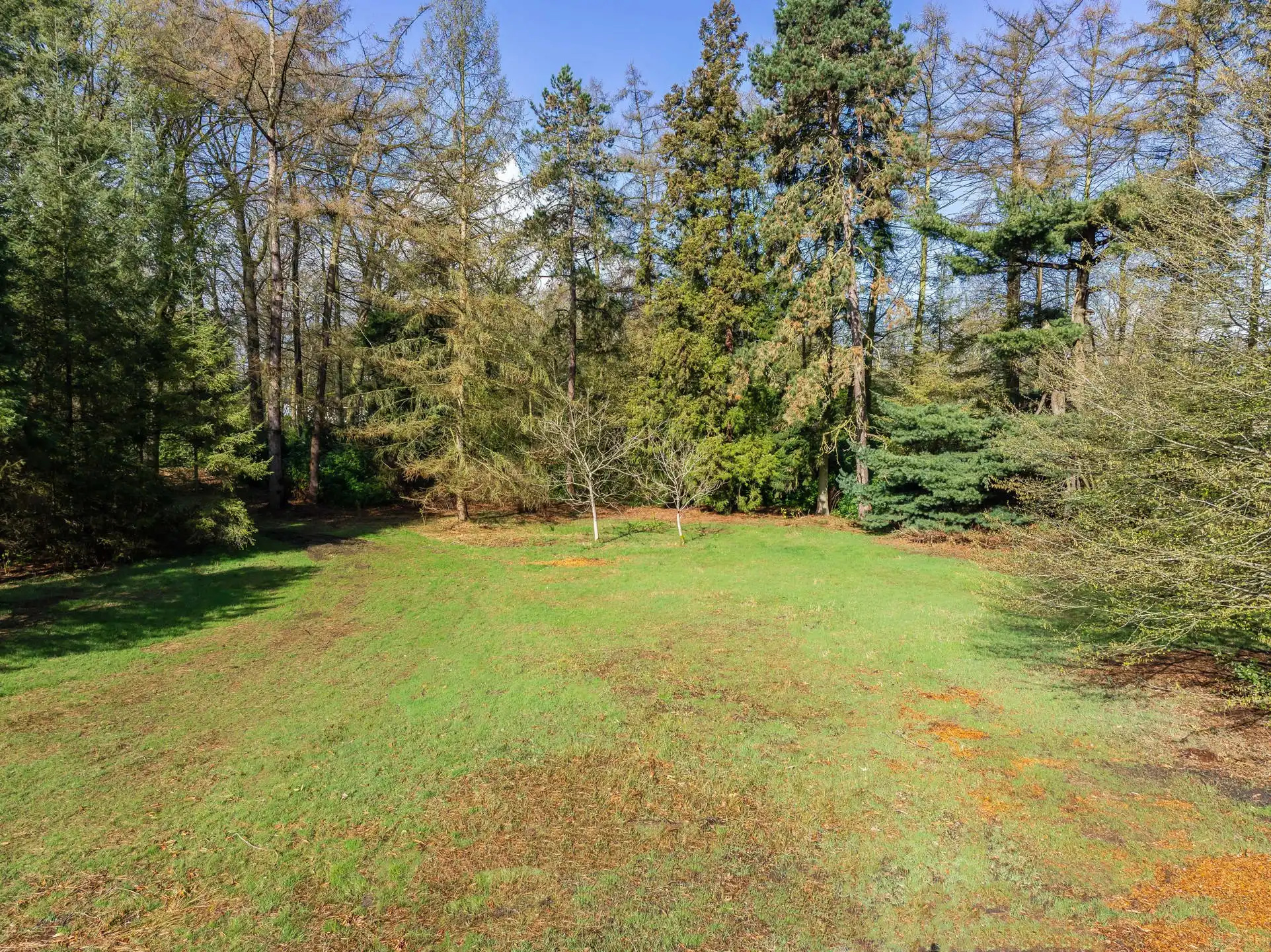 Exceptionele bouwgrond van 12.465 m² in Vriesdonk foto 10