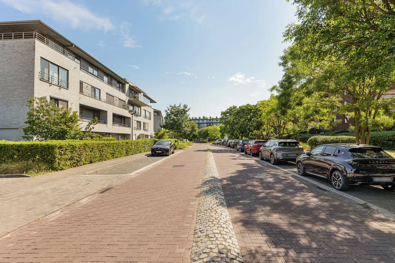 Residentieel en energiezuinig wonen met ruime privatieve tuin in De Veldekens te Berchem foto 2