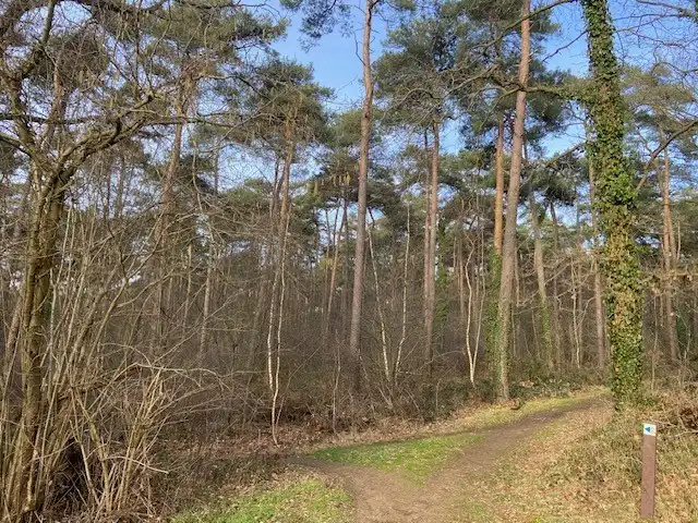 Grond te koop foto 2