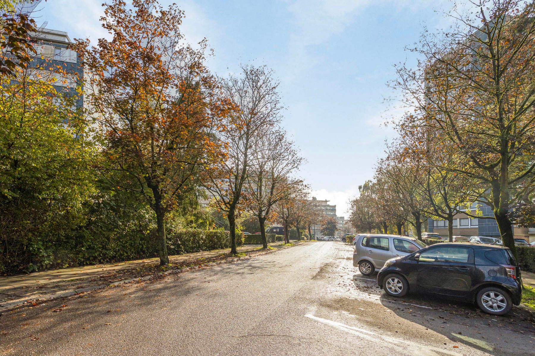 Lichtrijk appartement met 3 slaapkamers en groen zicht! foto 21