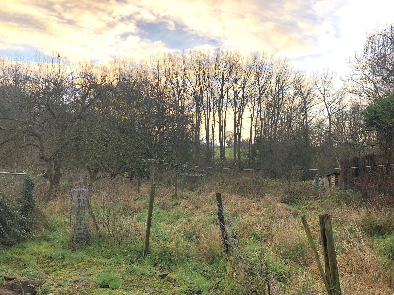 Uniek en zeer landelijk gelegen perceel bouwgrond voor open-bebouwing te Haaltert-Kerksken, Rijstraat foto 4