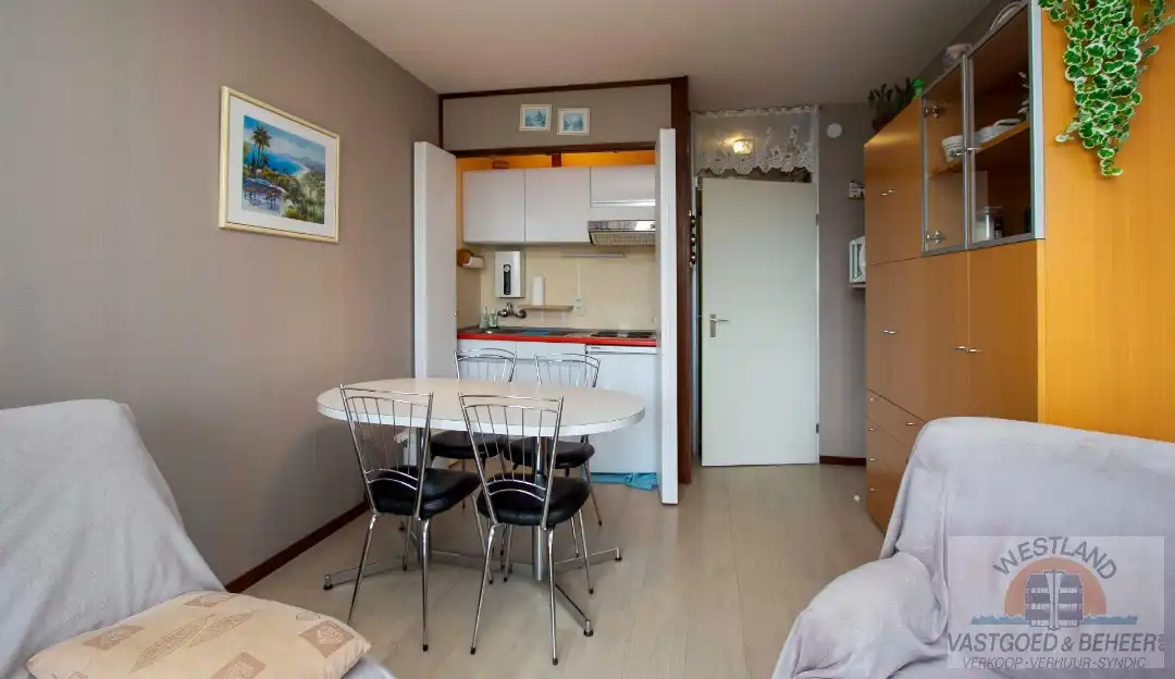 Zonnig appartement met één slaapkamer foto 3