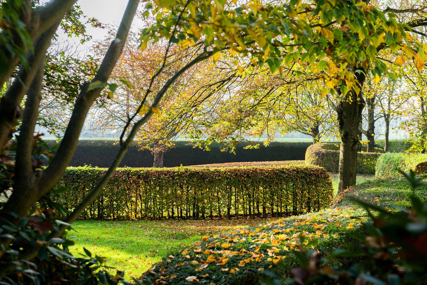 Landgoed in landelijke pracht: De ultieme ontsnapping naar rust en luxe foto 13